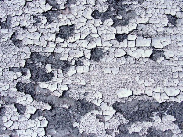 Pealed paint