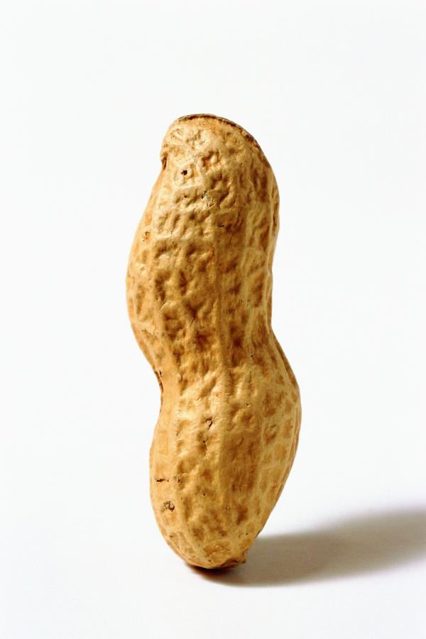 peanut
