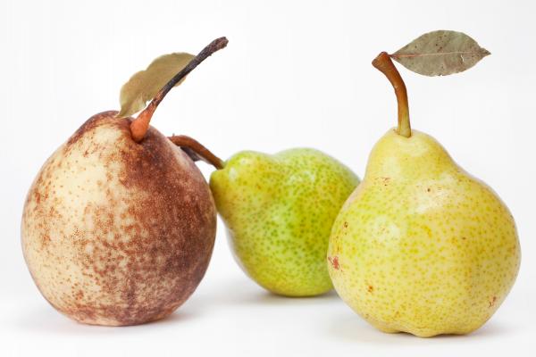 pears