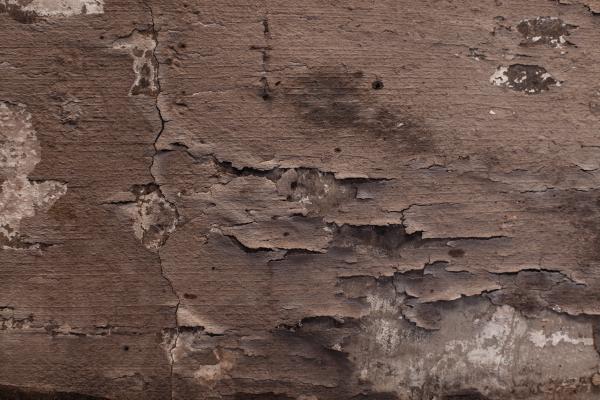 Peeling Paint Grunge Texture