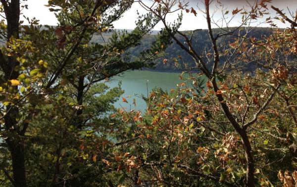 Peering at lake through trees