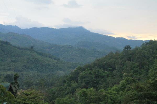 Pemandangan