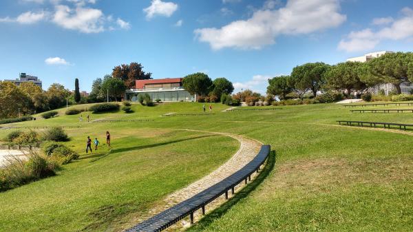 People on the Green Grass Field Under Cloudy Skies during Daytime