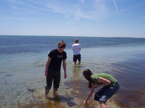 People Wading in Water