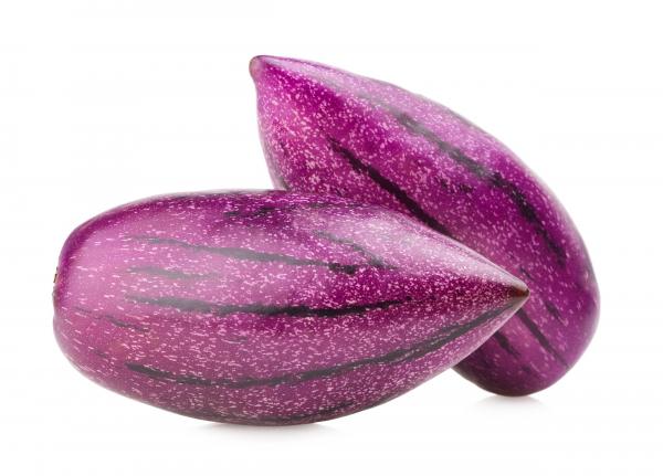 Pepino melon