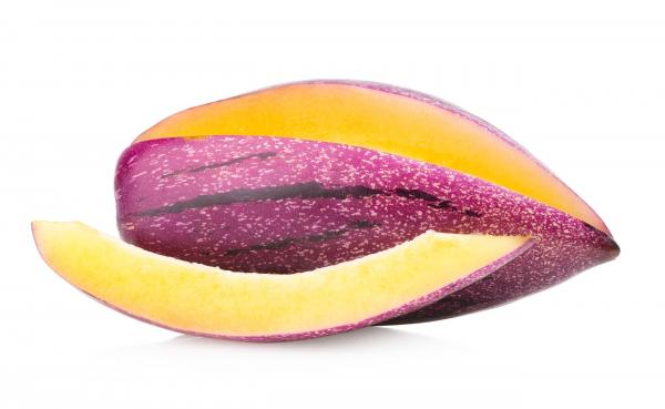 Pepino melon