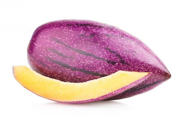 Pepino melon