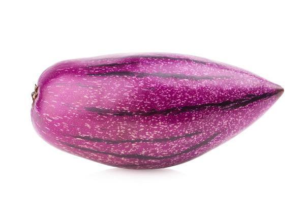 Pepino melon