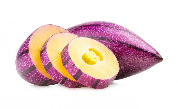 Pepino melon