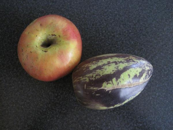 Pepino melon