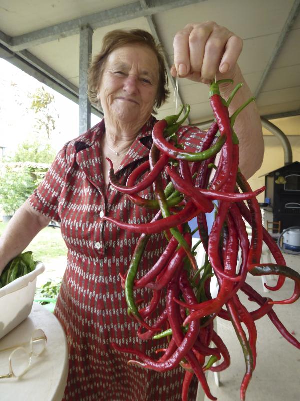 Pepper garland I.