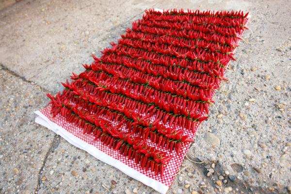 Pepper garland V.