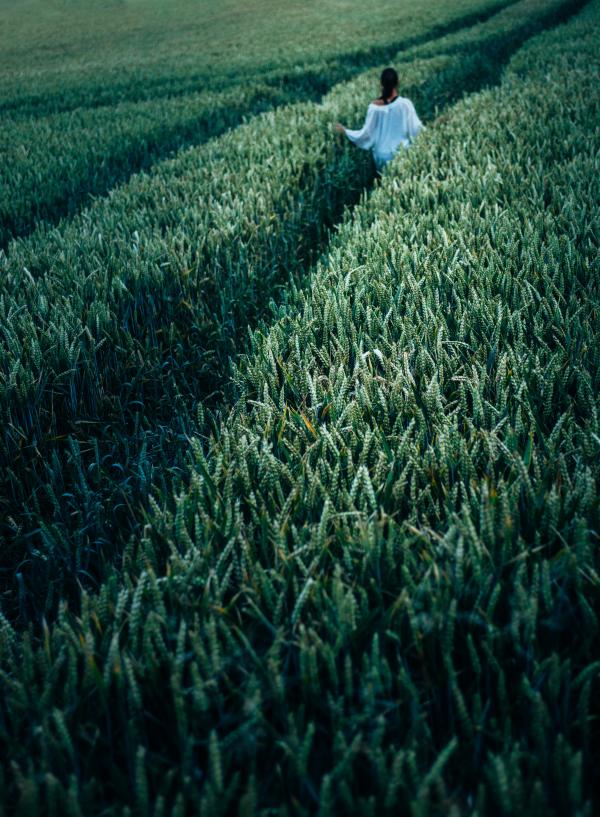 Person In The Field
