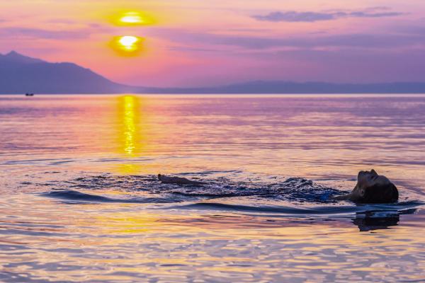 Person Swimming on Body of Water during Golden Hour