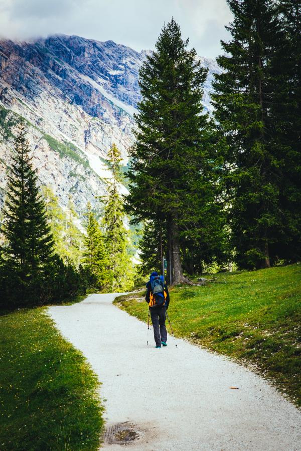Person With Backpack Hiking Near Trees and Green Grass