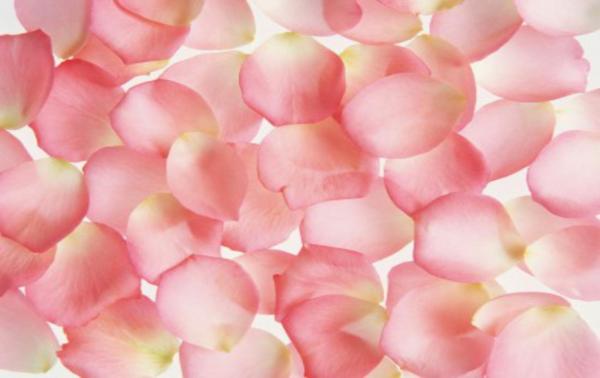 Petal