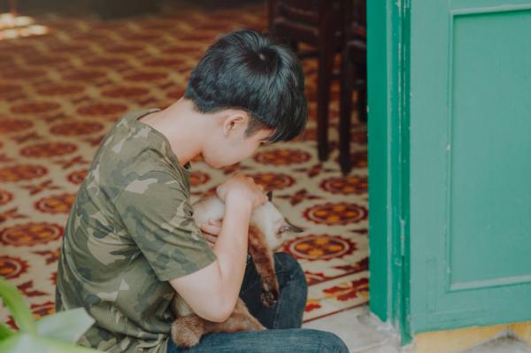 Photo of Boy Wearing Camouflage Shirt Holding a Cat