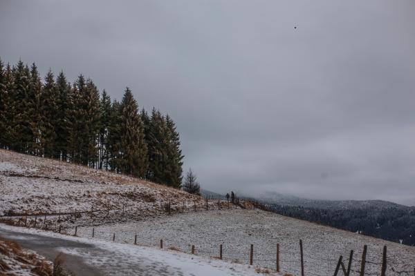 Photo of Field Near Green Trees