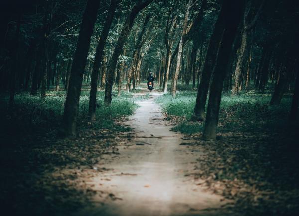 Photo of Man Riding Motorcycle in the Forest