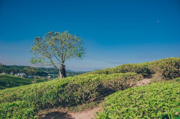 Photo of Man Standing Near Tree