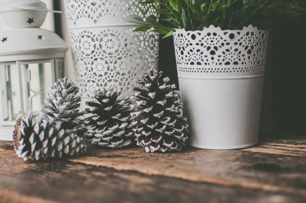 Photo of Pine Cones Near White Vase