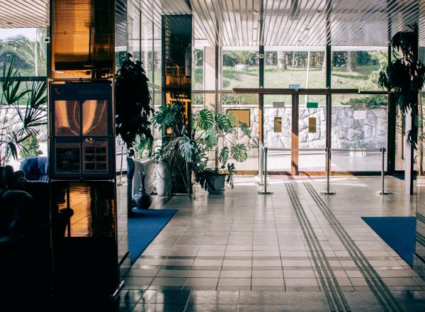 Photo of Plants Near the Glass Door