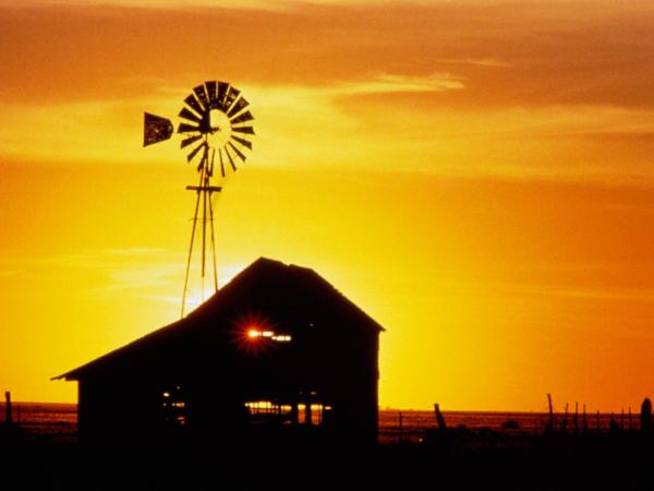 Photo of Ride-on Tractor during Sunset