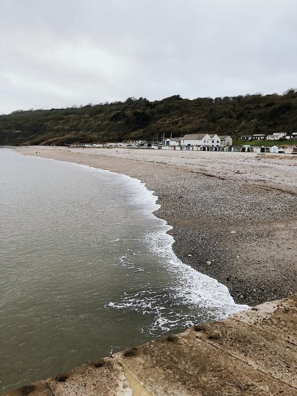 Photo of Seashore during Daylight