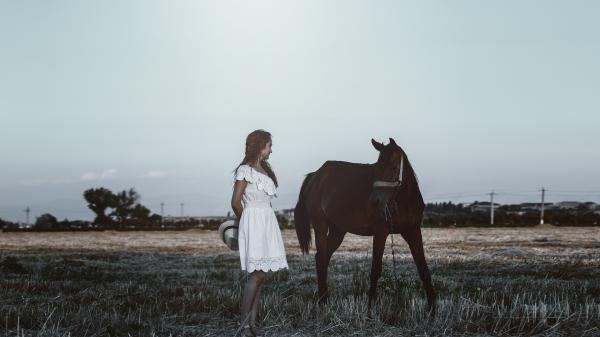 Photo Session with a Horse