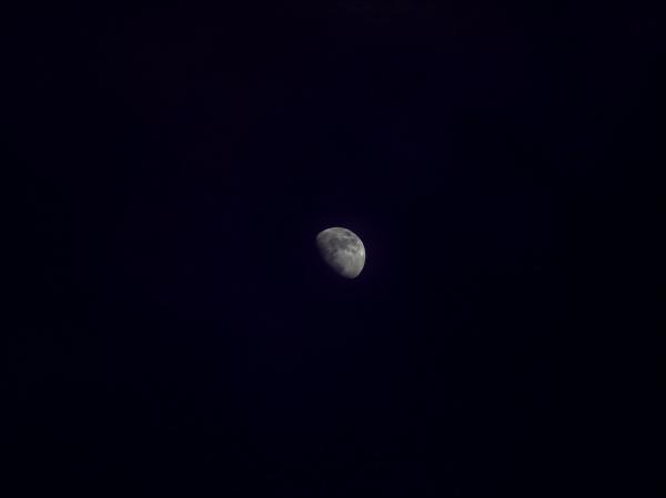 Photography Half Moon