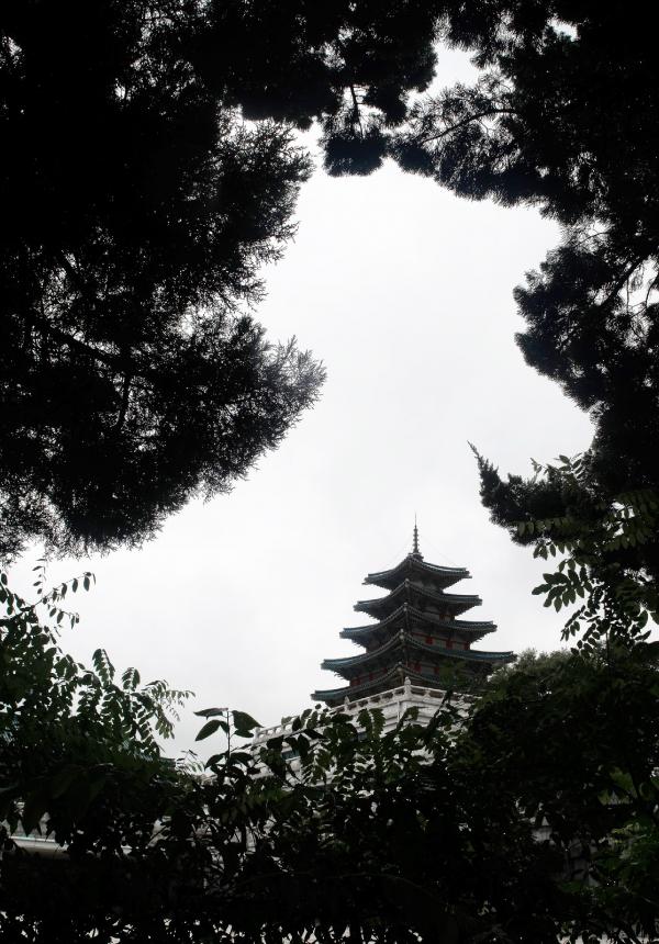 Photography of Black and White Temple