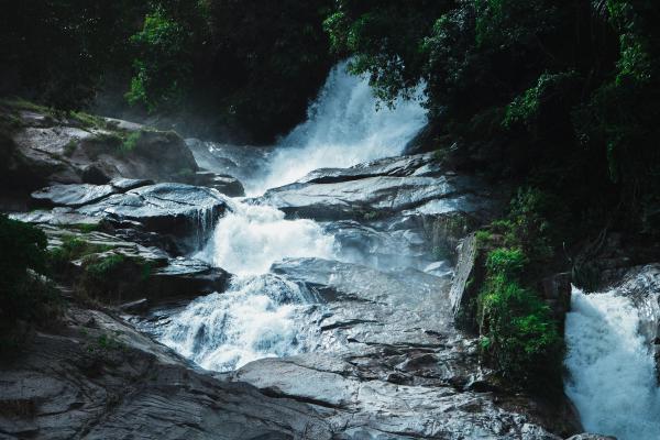 Photography of Waterfalls Near Trees