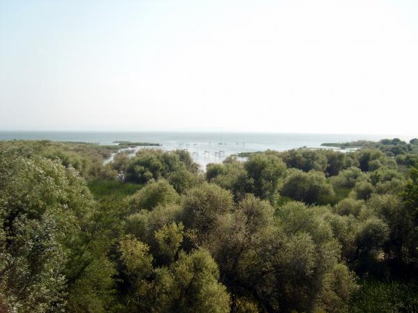 Photos from Turkey