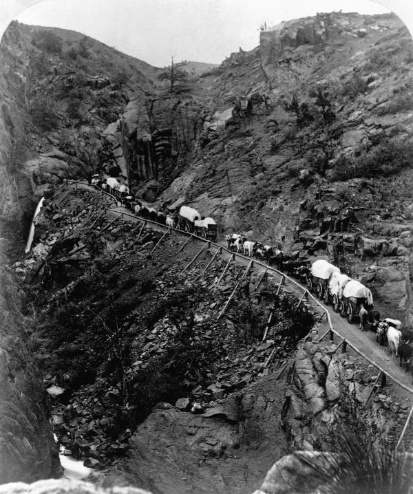 Pictures of the 20th Century
