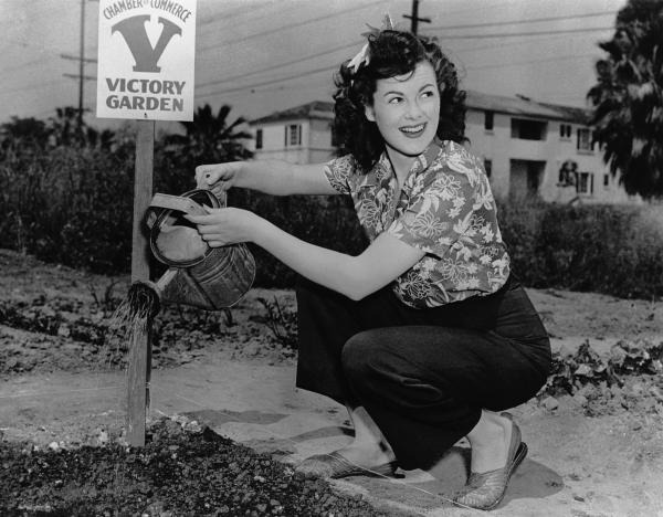 Pictures of the 20th Century