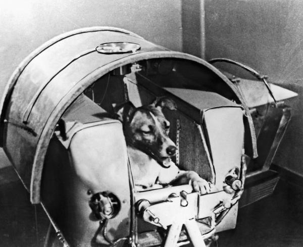 Pictures of the 20th Century