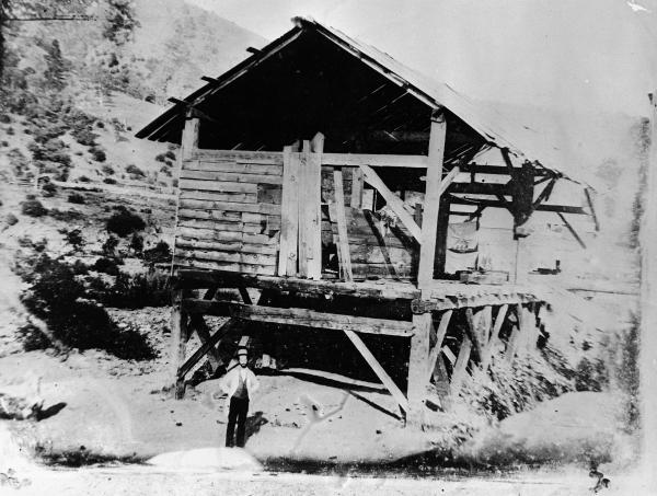 Pictures of the 20th Century