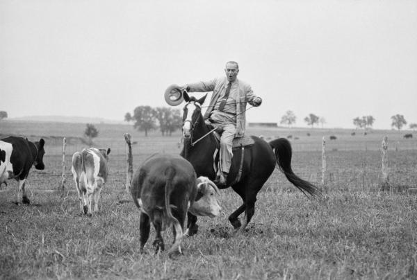 Pictures of the 20th Century