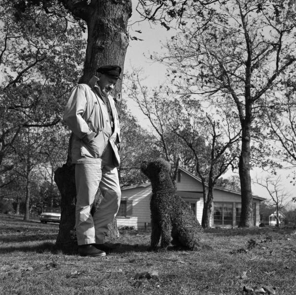 Pictures of the 20th Century