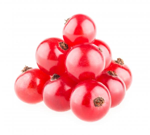 Pile of Berries