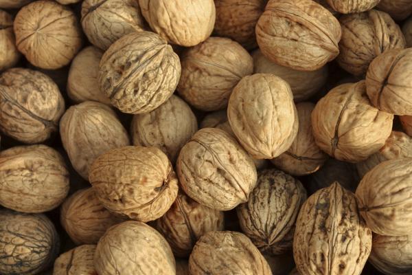 Pile of walnuts