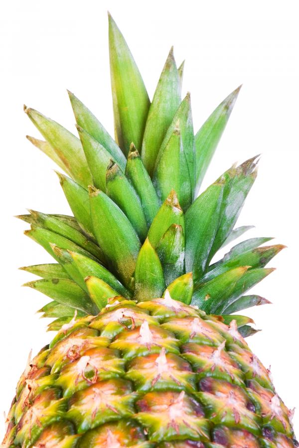 pineapple