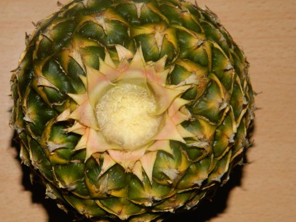 Pineapple
