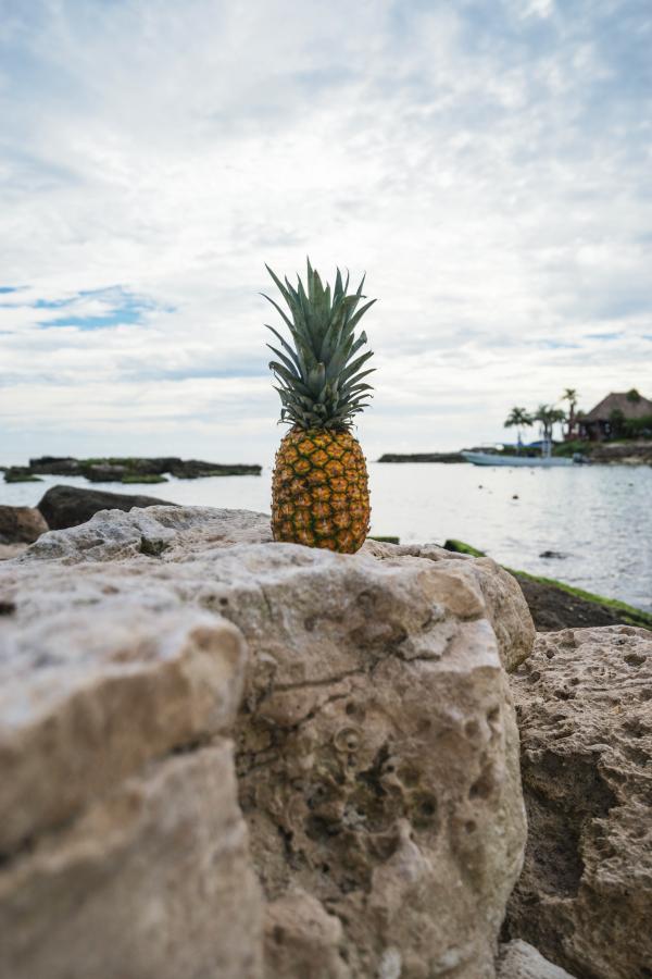 Pineapple