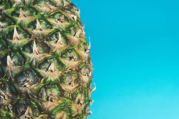 Pineapple Fruit