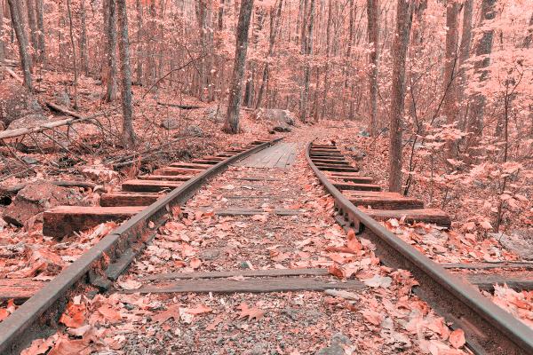 Pink Autumn Logging Railroad - HDR