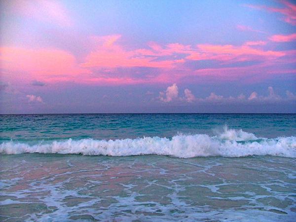Pink Dusk
