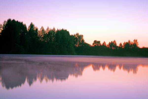 pink morning