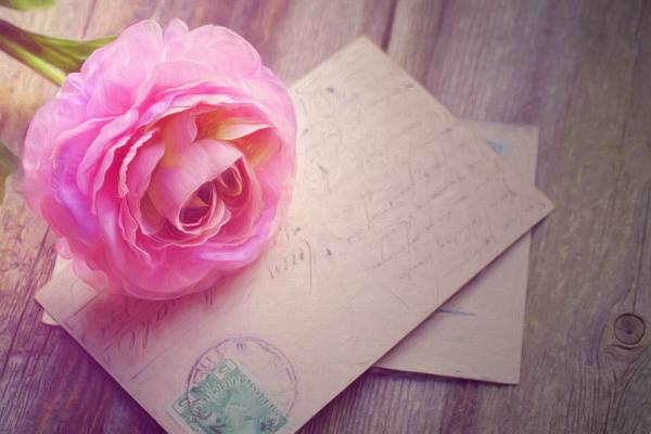 Pink Rose and Letters