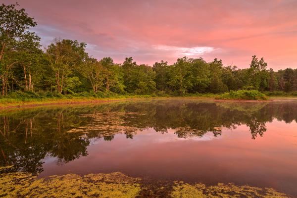 Pink Twilight Marsh - HDR